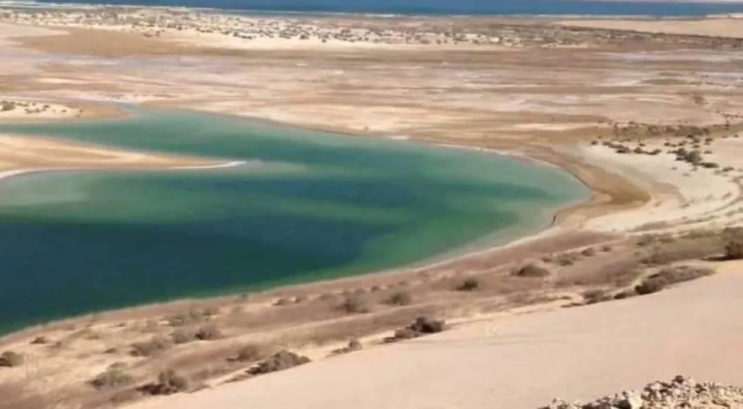 🐋🏜️ Wadi El Hitan (Valley of the Whales) | Full-Day UNESCO Adventure -wadi-el-hitan-valley-of-the-whales-full-day-unesco-adventure/IMG-20260705-WA0114.jpg