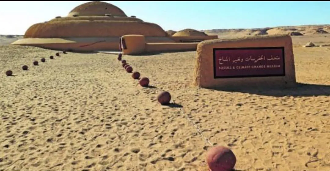 🐋🏜️ Wadi El Hitan (Valley of the Whales) | Full-Day UNESCO Adventure -wadi-el-hitan-valley-of-the-whales-full-day-unesco-adventure/IMG-20260705-WA0117.jpg