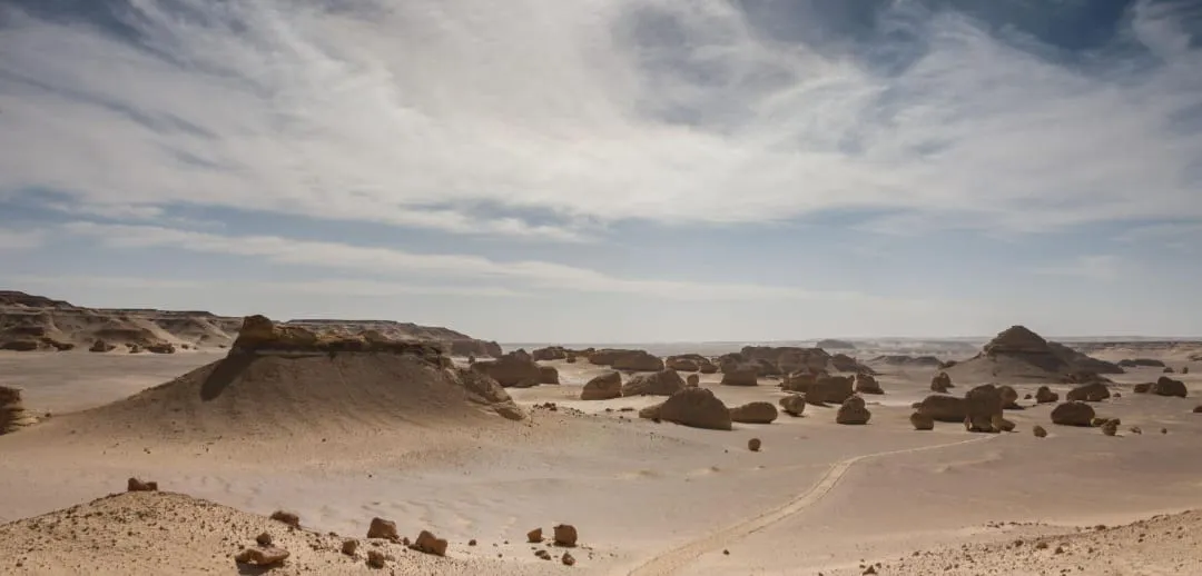 🐋🏜️ Wadi El Hitan (Valley of the Whales) | Full-Day UNESCO Adventure -wadi-el-hitan-valley-of-the-whales-full-day-unesco-adventure/IMG-20260705-WA0118.jpg