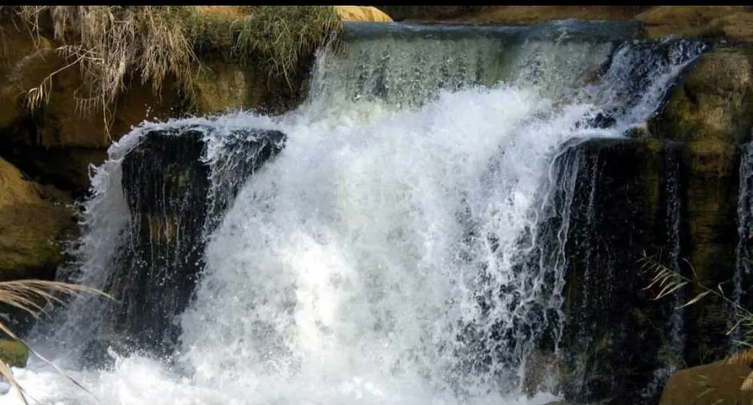 💦🌴 Wadi El Rayan Waterfalls | Full-Day Nature Escape -wadi-el-rayan-waterfalls-full-day-nature-escape/IMG-20260705-WA0122.jpg