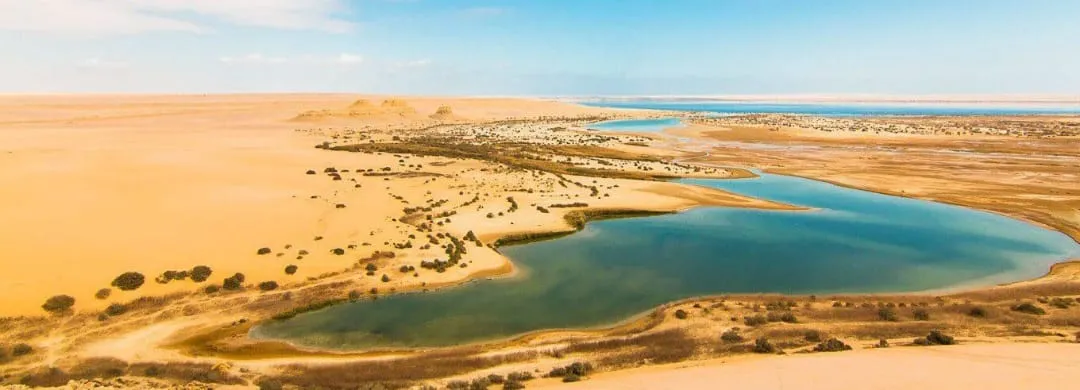💦🌴 Wadi El Rayan Waterfalls | Full-Day Nature Escape -wadi-el-rayan-waterfalls-full-day-nature-escape/IMG-20260705-WA0124.jpg