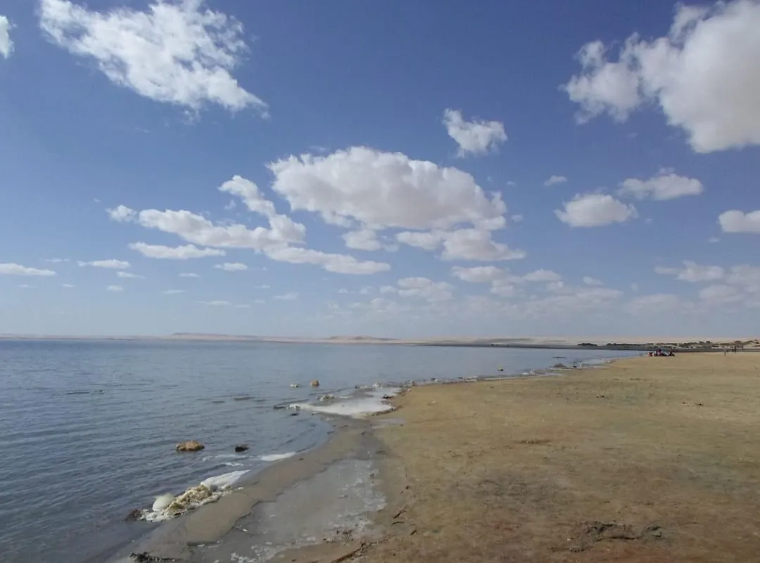 💦🌴 Wadi El Rayan Waterfalls | Full-Day Nature Escape -wadi-el-rayan-waterfalls-full-day-nature-escape/IMG-20260705-WA0125.jpg
