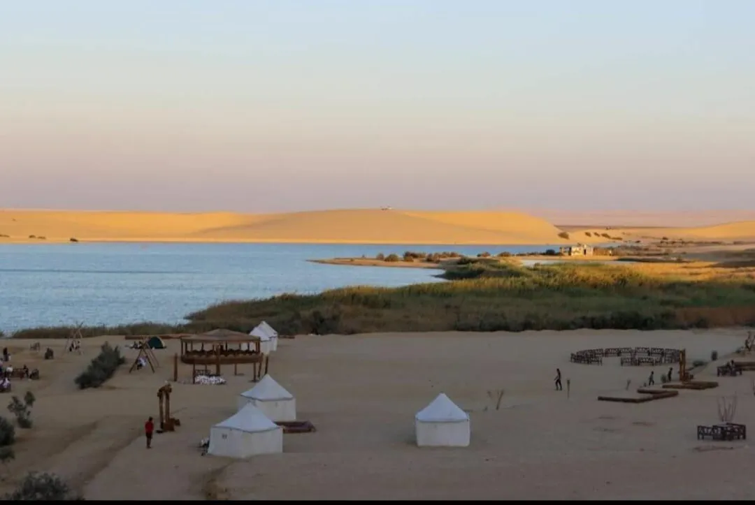🏕️🌌 Fayoum Desert Camping Adventure | Overnight Experience