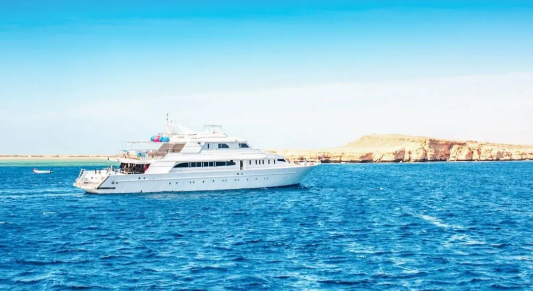 🤍🏝️ White Island Boat Trip – Sharm El Sheikh -white-island-boat-trip-sharm-el-sheikh/IMG-20260704-WA0137.jpg