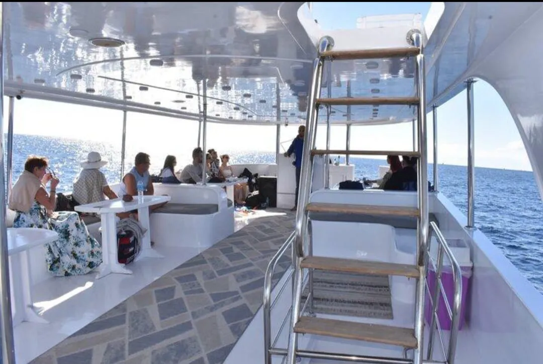 🤍🏝️ White Island Boat Trip – Sharm El Sheikh -white-island-boat-trip-sharm-el-sheikh/IMG-20260704-WA0139.jpg