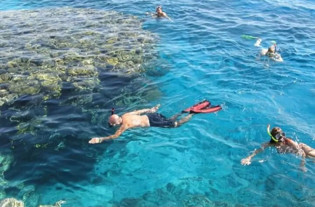 🤍🏝️ White Island Boat Trip – Sharm El Sheikh -white-island-boat-trip-sharm-el-sheikh/IMG-20260704-WA0142.jpg