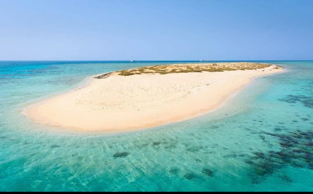 🤍🏝️ White Island Boat Trip – Sharm El Sheikh -white-island-boat-trip-sharm-el-sheikh/IMG-20260704-WA0144.jpg