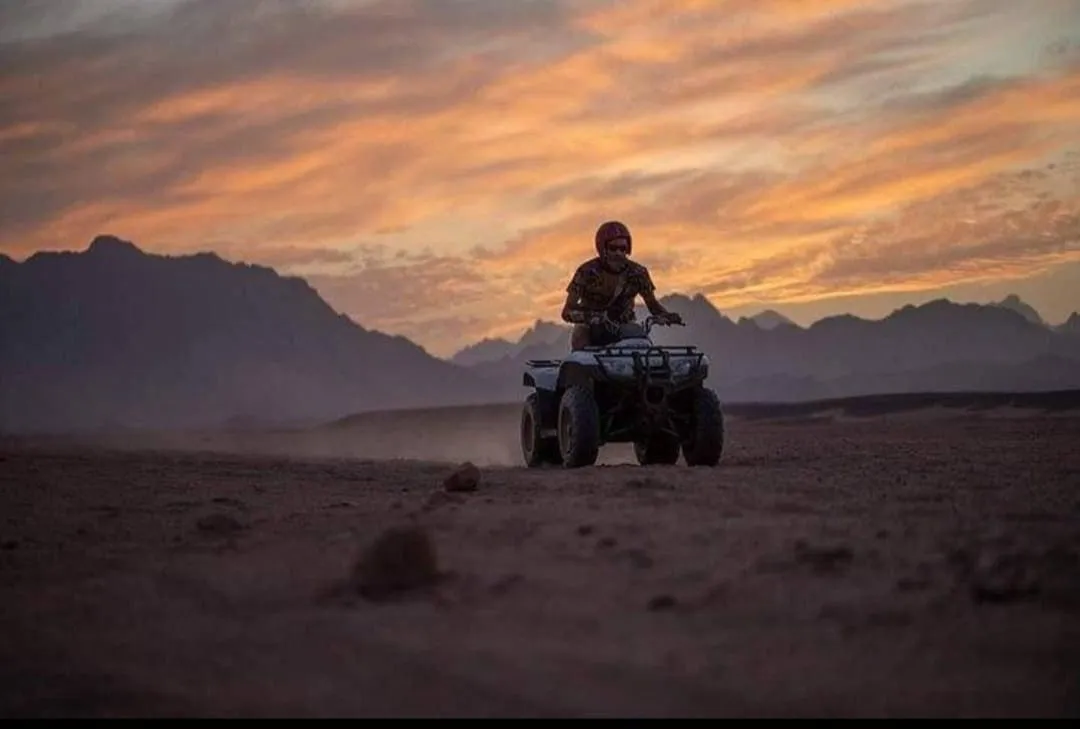 🏜️ Desert Safari Adventure – Sharm El Sheikh ATV • Bedouin Village • Sunset Experience A-Thrilling-Adventure-in-the-Sinai-Desert/IMG-20260703-WA0161.jpg