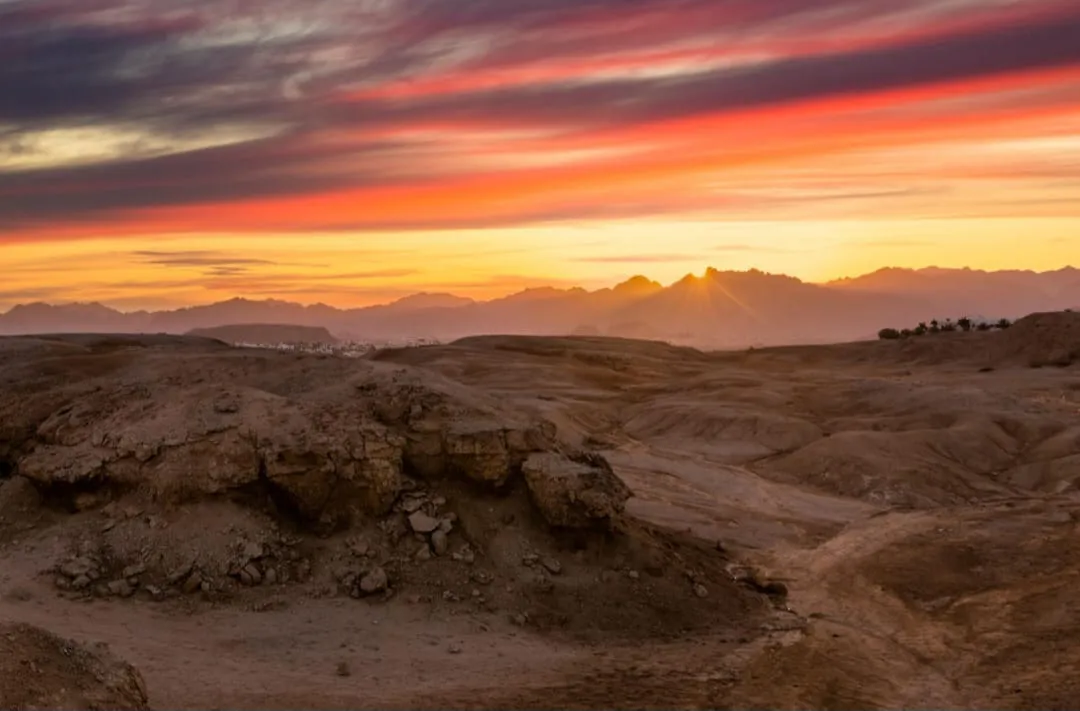 🏜️ Desert Safari Adventure – Sharm El Sheikh ATV • Bedouin Village • Sunset Experience A-Thrilling-Adventure-in-the-Sinai-Desert/IMG-20260703-WA0163.jpg