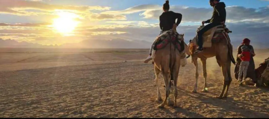 🏜️ Desert Safari Adventure – Sharm El Sheikh ATV • Bedouin Village • Sunset Experience A-Thrilling-Adventure-in-the-Sinai-Desert/IMG-20260703-WA0166.jpg