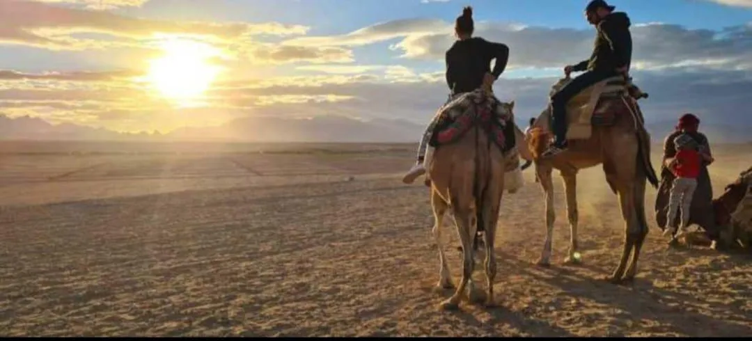 🏜️ Desert Safari Adventure – Sharm El Sheikh ATV • Bedouin Village • Sunset Experience A-Thrilling-Adventure-in-the-Sinai-Desert/IMG-20260703-WA0171.jpg