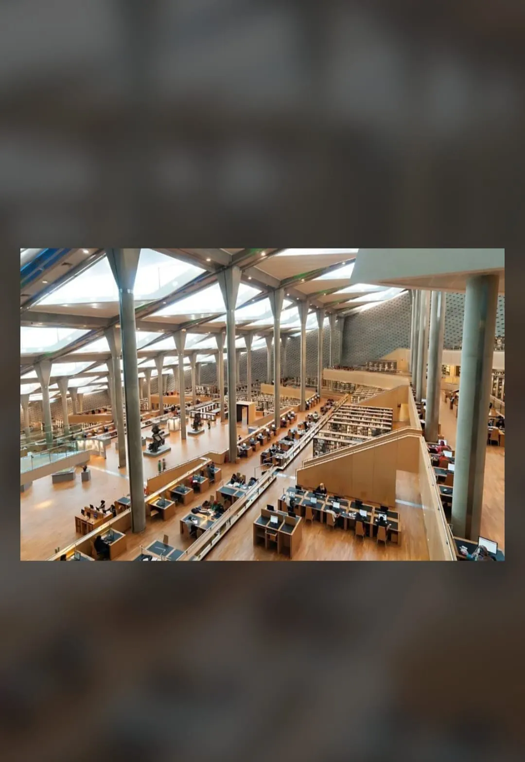 Bibliotheca Alexandra tour program Bibliotheca-Alexandra-tour-program-tirp/IMG-20260630-WA0098.jpg