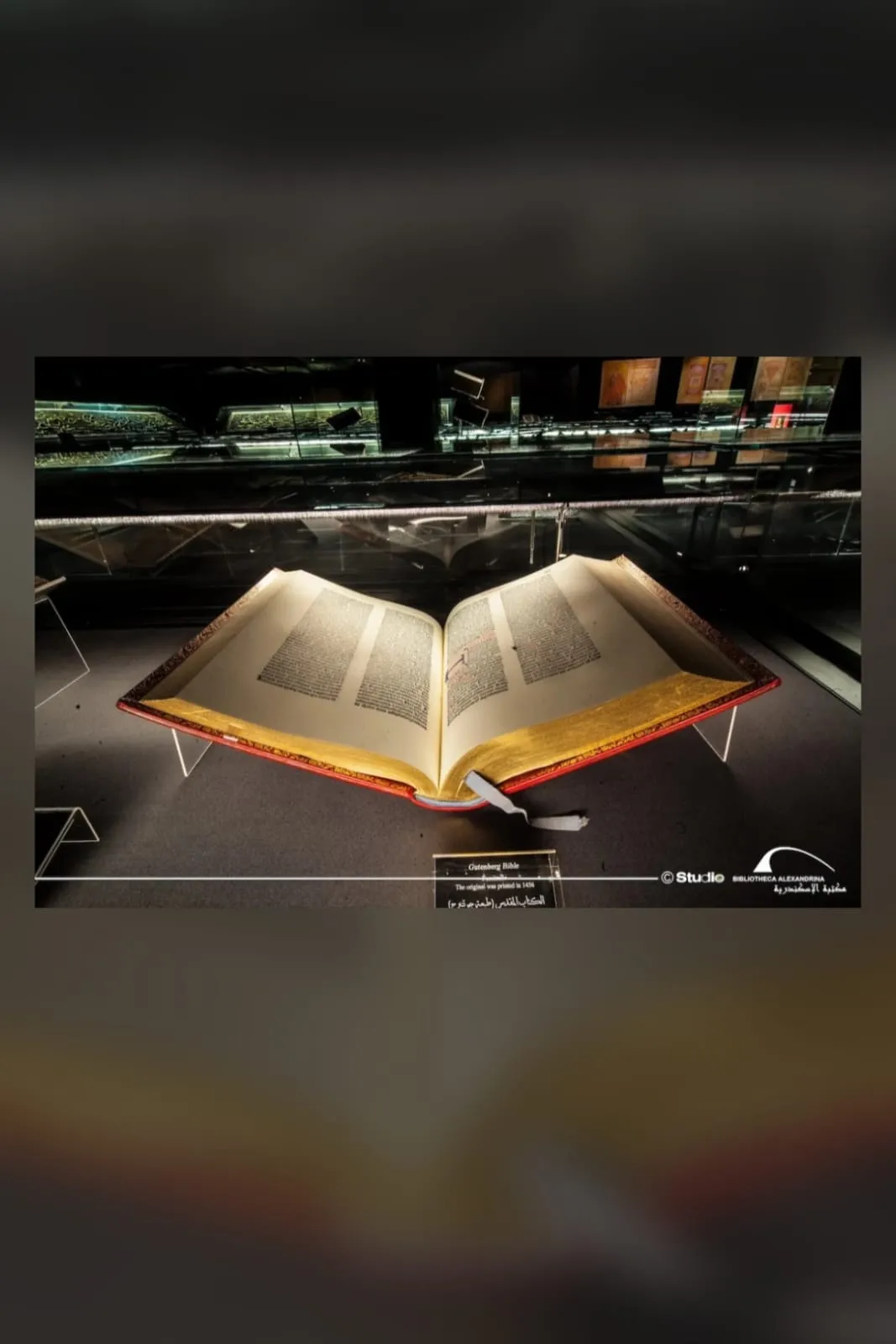 Bibliotheca Alexandra tour program Bibliotheca-Alexandra-tour-program-tirp/IMG-20260630-WA0099.jpg