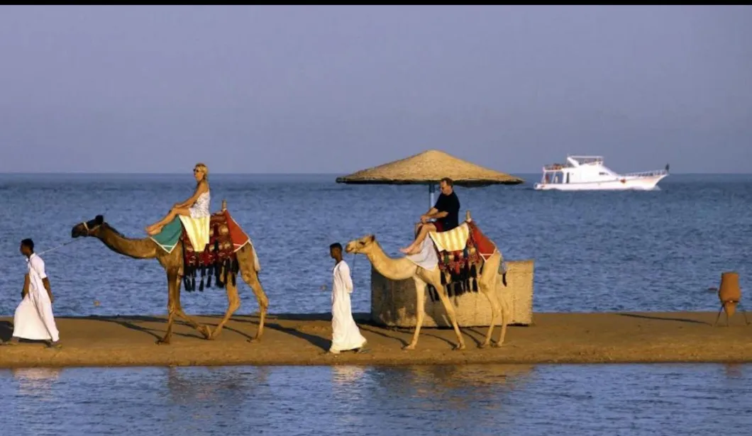 🐪✨ Camel Riding Experience in El Gouna 🌅🏜️ Camel-riding/Screenshot_٢٠٢٦٠٧٠٢_١٦٢٩٥٣_ChatGPT.jpg