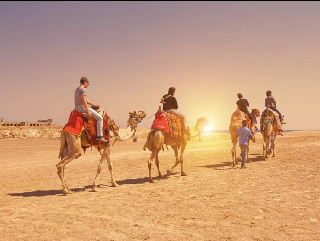 🐪✨ Camel Riding Experience in El Gouna 🌅🏜️ Camel-riding/Screenshot_٢٠٢٦٠٧٠٢_١٦٢٩٥٧_ChatGPT.jpg