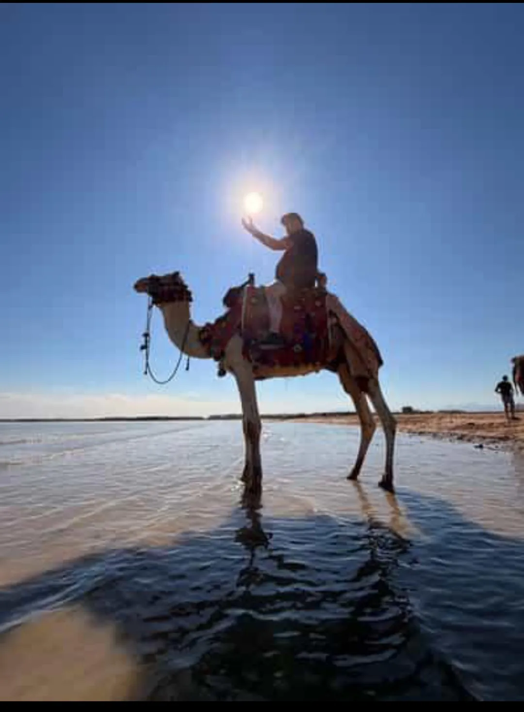 🐪✨ Camel Riding Experience in El Gouna 🌅🏜️ Camel-riding/Screenshot_٢٠٢٦٠٧٠٢_١٦٣٠٠٣_ChatGPT.jpg