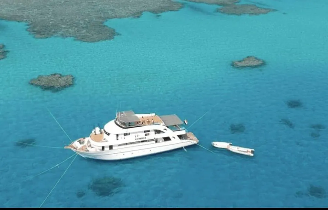 🐠🤿 Shaab Samadai (Dolphin House) Snorkeling Trip – Marsa Alam 🐬🌊 Dolphin-house/IMG-20260702-WA0207.jpg