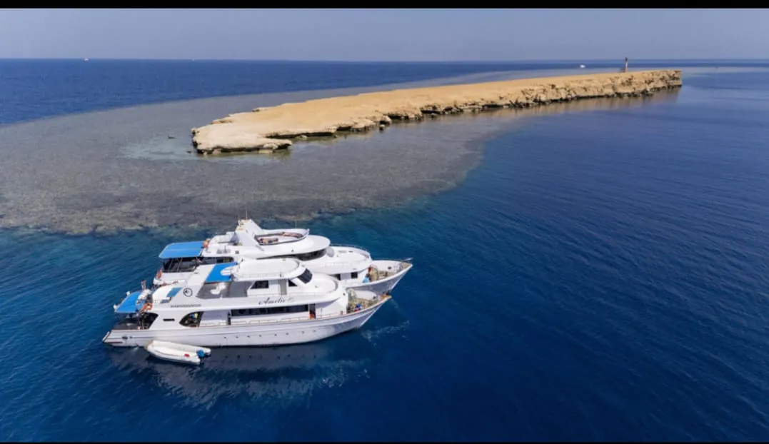 🐠🤿 Shaab Samadai (Dolphin House) Snorkeling Trip – Marsa Alam 🐬🌊 Dolphin-house/IMG-20260702-WA0209.jpg
