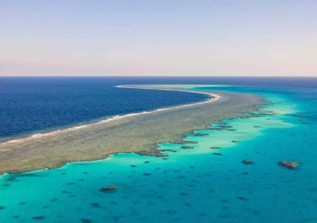 🐠🤿 Shaab Samadai (Dolphin House) Snorkeling Trip – Marsa Alam 🐬🌊 Dolphin-house/IMG-20260702-WA0212.jpg