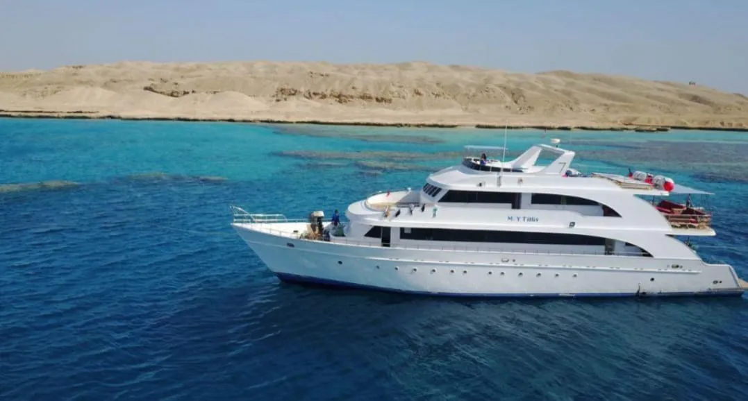 🐠🤿 Shaab Samadai (Dolphin House) Snorkeling Trip – Marsa Alam 🐬🌊 Dolphin-house/IMG-20260702-WA0215.jpg