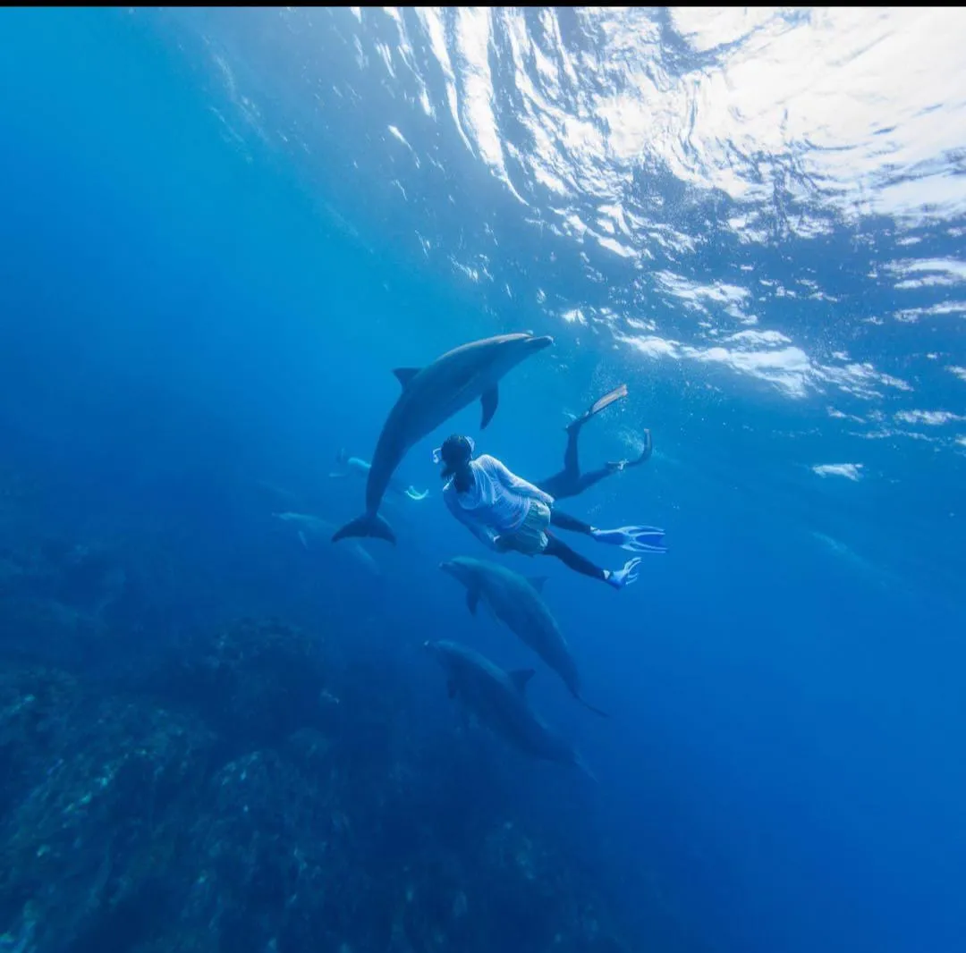 🐠🤿 Shaab Samadai (Dolphin House) Snorkeling Trip – Marsa Alam 🐬🌊 Dolphin-house/IMG-20260702-WA0217.jpg
