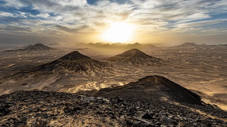 The Dark Desert