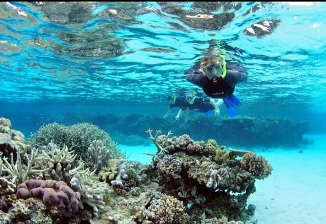 🪸✨ Hamata Islands Snorkeling Trip – Marsa Alam 🏝️🌊 Hamata-Island/IMG-20260702-WA0188.jpg