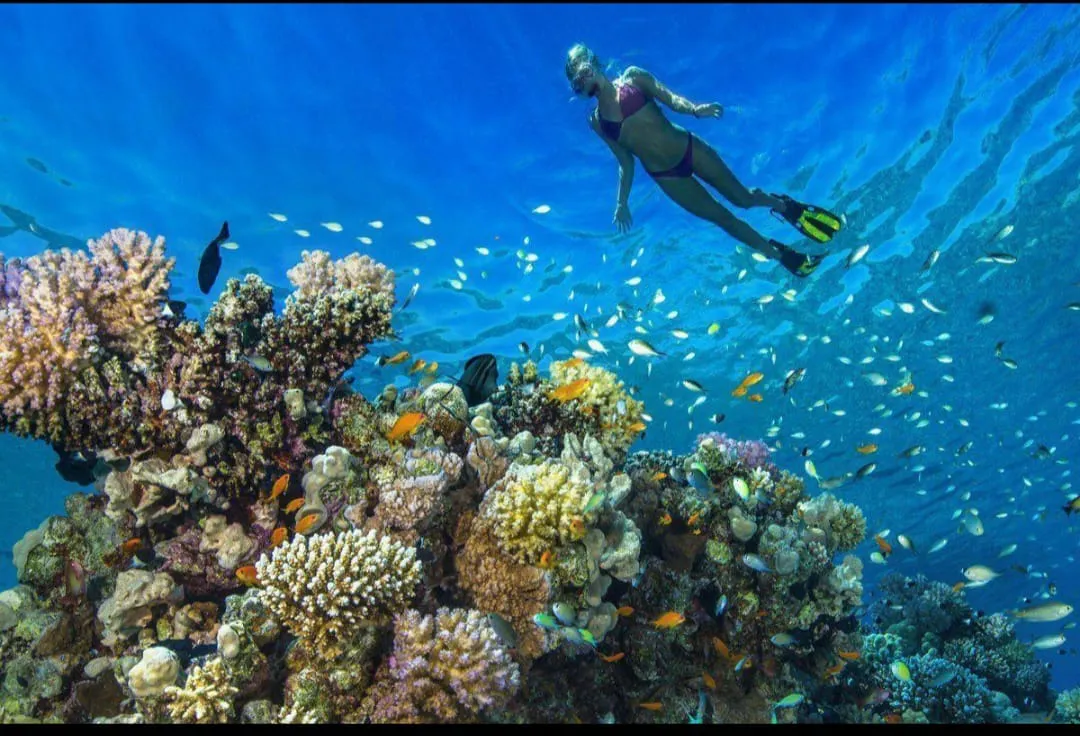 🪸✨ Hamata Islands Snorkeling Trip – Marsa Alam 🏝️🌊 Hamata-Island/IMG-20260702-WA0191.jpg