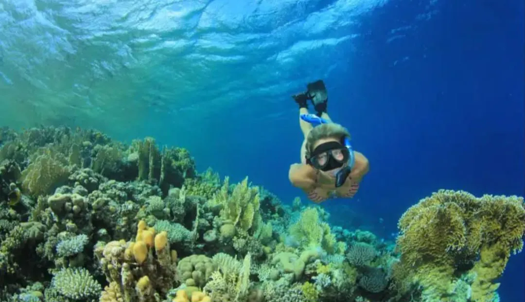 🪸✨ Hamata Islands Snorkeling Trip – Marsa Alam 🏝️🌊 Hamata-Island/IMG-20260702-WA0192.jpg