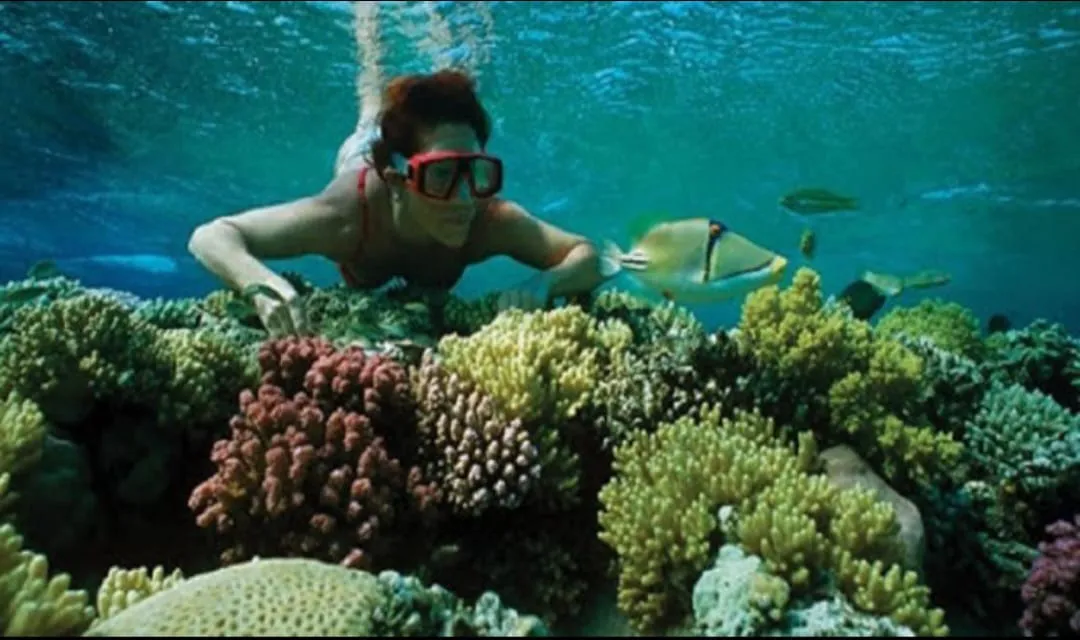 🪸✨ Hamata Islands Snorkeling Trip – Marsa Alam 🏝️🌊 Hamata-Island/IMG-20260702-WA0194.jpg