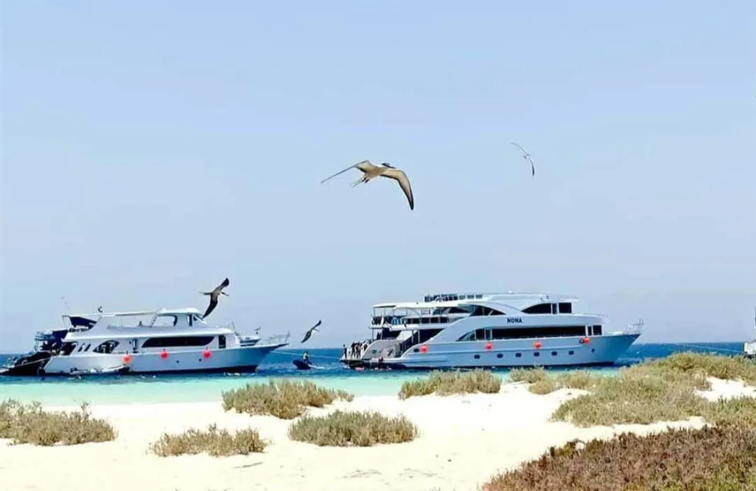 🪸✨ Hamata Islands Snorkeling Trip – Marsa Alam 🏝️🌊 Hamata-Island/IMG-20260702-WA0195.jpg