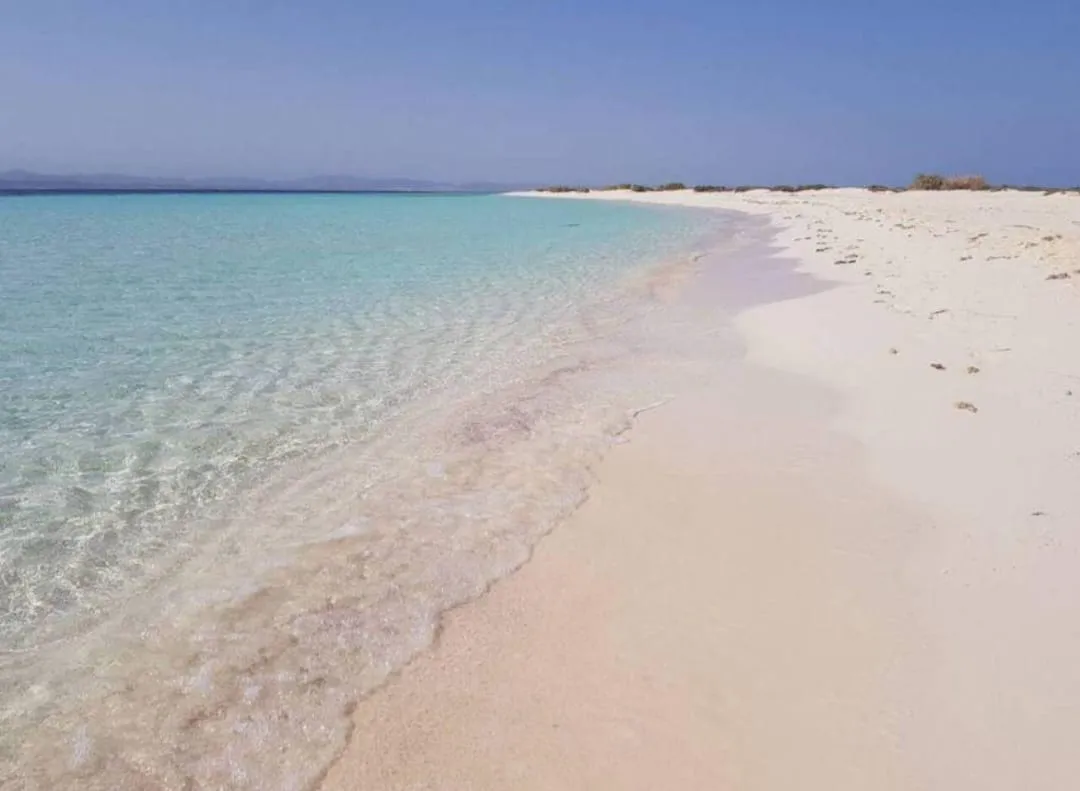 🪸✨ Hamata Islands Snorkeling Trip – Marsa Alam 🏝️🌊 Hamata-Island/IMG-20260702-WA0200.jpg
