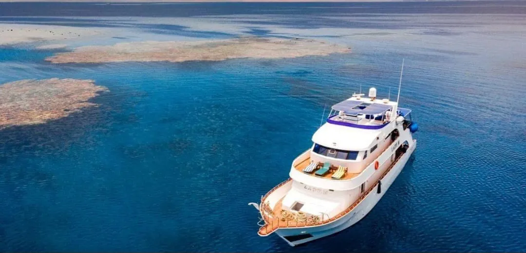 🪸✨ Hamata Islands Snorkeling Trip – Marsa Alam 🏝️🌊 Hamata-Island/IMG-20260702-WA0202.jpg