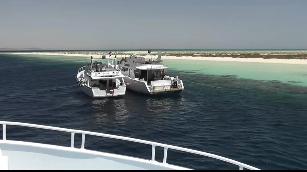 🪸✨ Hamata Islands Snorkeling Trip – Marsa Alam 🏝️🌊 Hamata-Island/IMG-20260702-WA0203.jpg