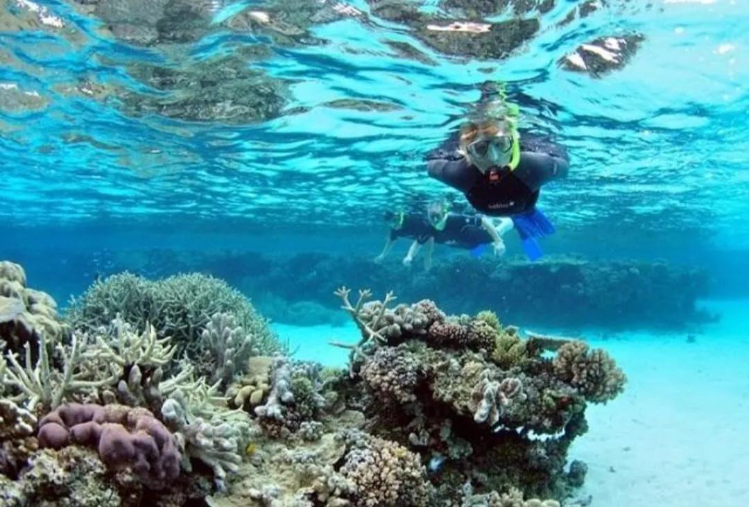 🪸✨ Hamata Islands Snorkeling Trip – Marsa Alam 🏝️🌊 Hamata-Island/IMG-20260702-WA0205.jpg