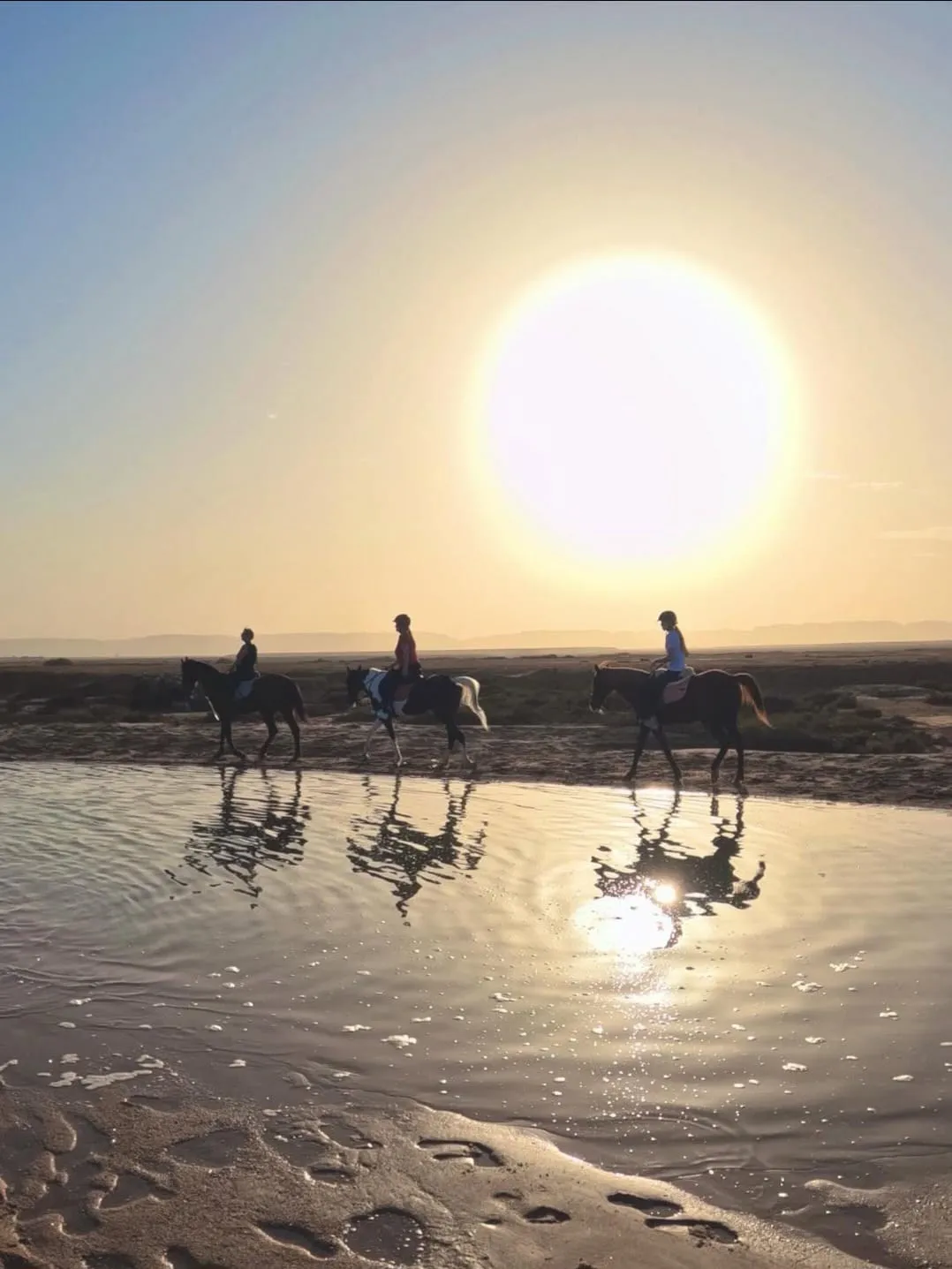 🐎✨ Horse Riding Adventure in El Gouna 🌅🏖️ Horse-Riding-Adventure-in-EL-Gouna/IMG-20260702-WA0118.jpg