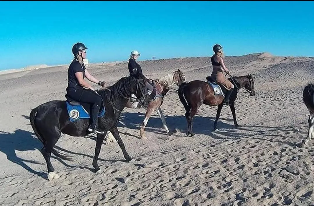 🐎✨ Horse Riding Adventure in El Gouna 🌅🏖️ Horse-Riding-Adventure-in-EL-Gouna/IMG-20260702-WA0119.jpg
