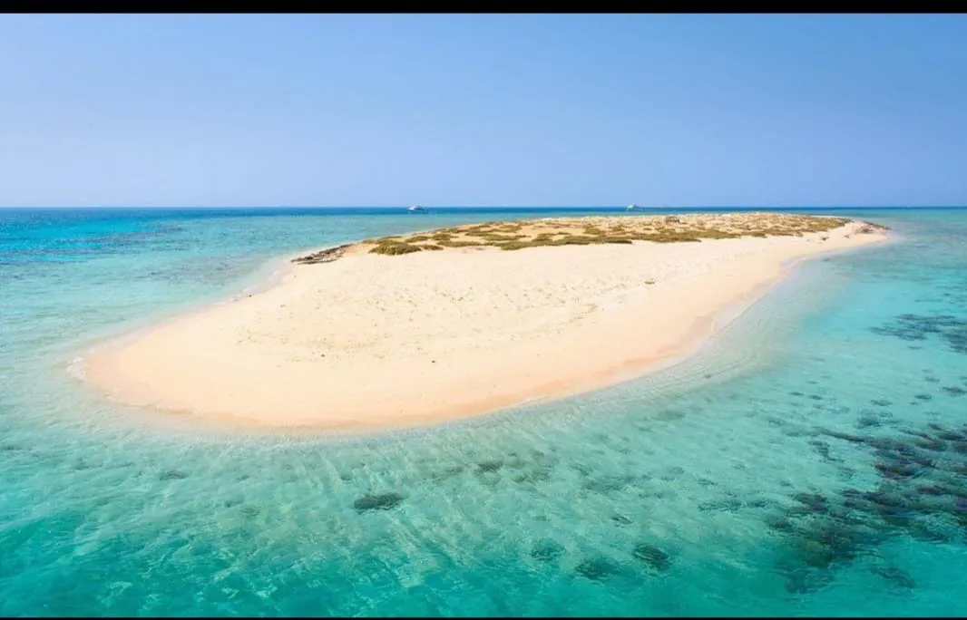 White island trip