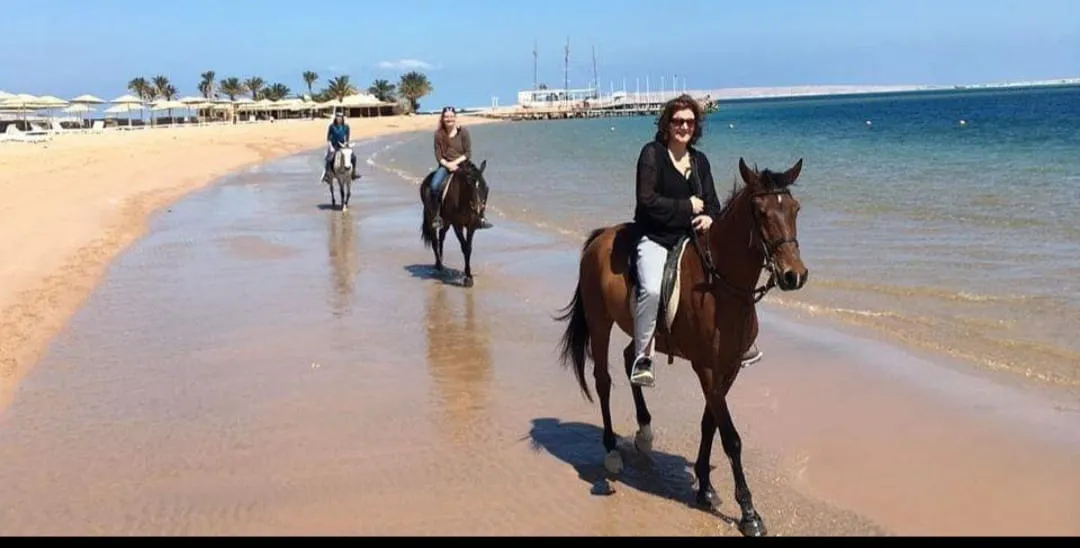 🐎✨ Horse Riding Adventure in El Gouna 🌅🏖️