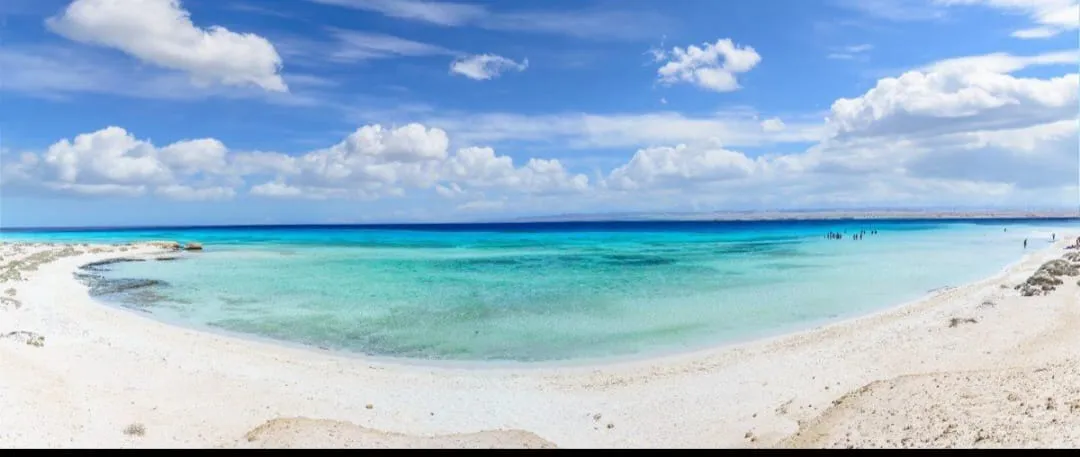 🏖️🌊 Sharm El Luli & El Qulaan Tour – Marsa Alam 🐠🌴