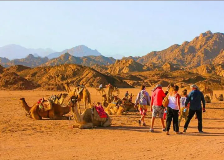🏜️ Super Safari Sharm El Sheikh