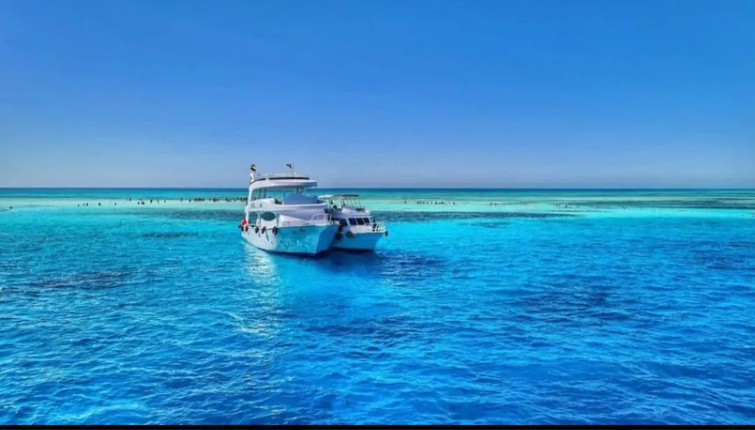 🐢 Marsa Mubarak Snorkeling Adventure Marsa-Mubarak-snorkeling/IMG-20260703-WA0048.jpg