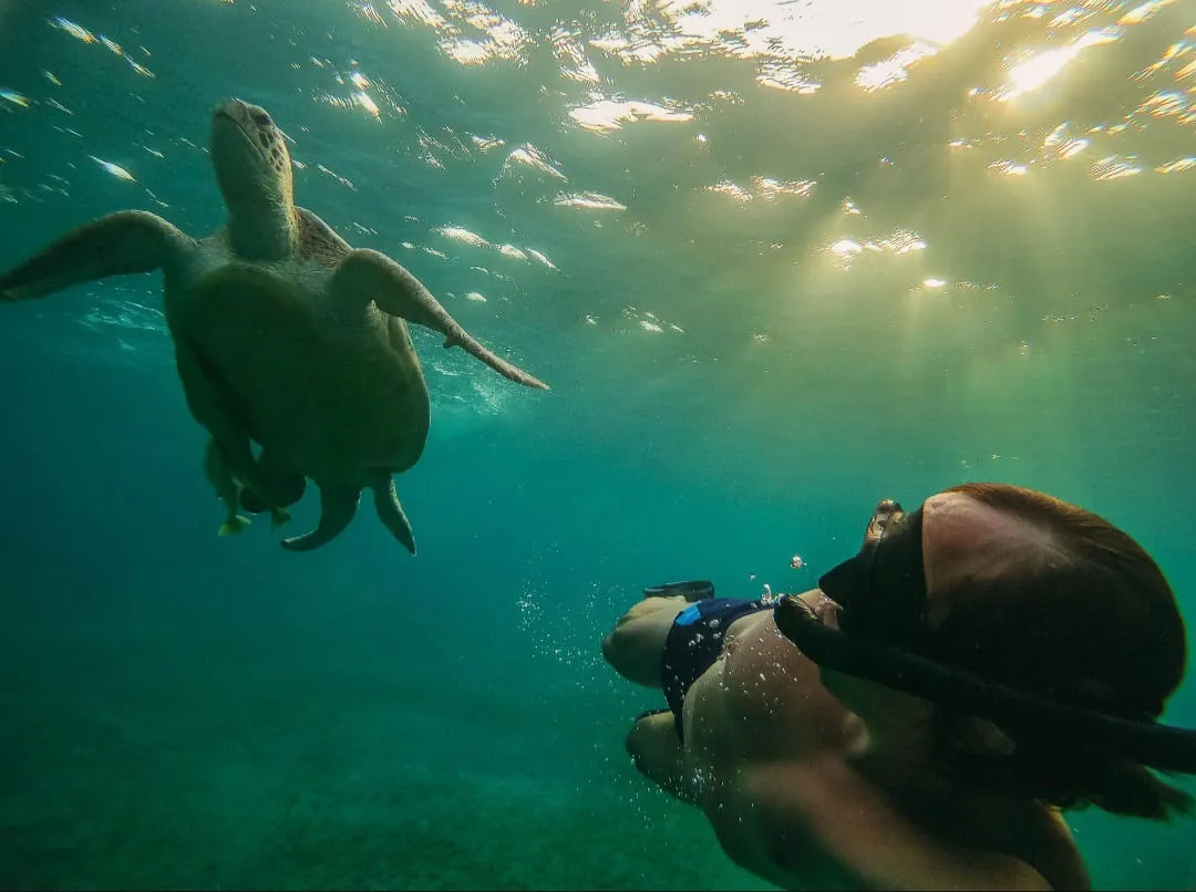 🐢 Marsa Mubarak Snorkeling Adventure Marsa-Mubarak-snorkeling/IMG-20260703-WA0049.jpg