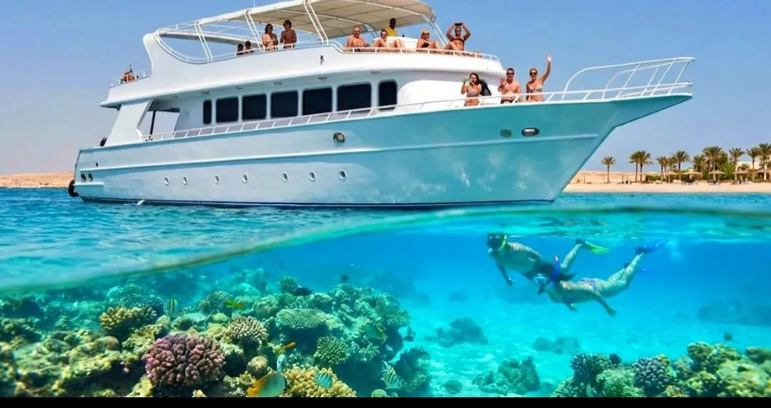 🐢 Marsa Mubarak Snorkeling Adventure Marsa-Mubarak-snorkeling/IMG-20260703-WA0058.jpg