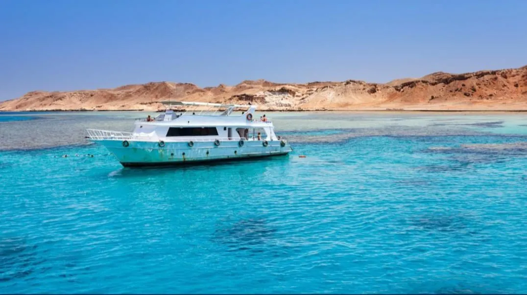 🐢 Marsa Mubarak Snorkeling Adventure Marsa-Mubarak-snorkeling/IMG-20260703-WA0060.jpg