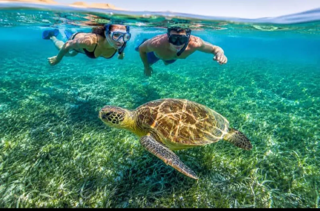 🐢 Marsa Mubarak Snorkeling Adventure Marsa-Mubarak-snorkeling/IMG-20260703-WA0064.jpg