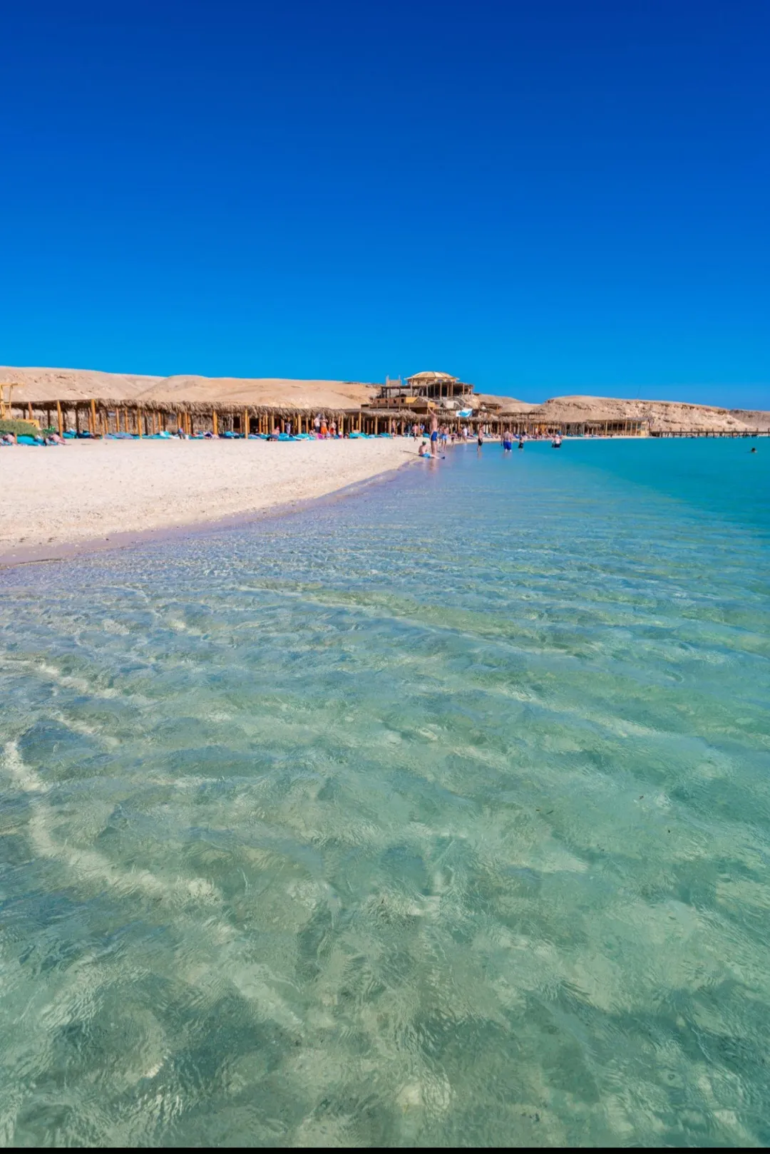 🌊🏝️ Orange Bay Island Trip from El Gouna ☀️🚤 Orange-Bay-island/Screenshot_٢٠٢٦٠٧٠٢_١٩١٦٣١_ChatGPT.jpg