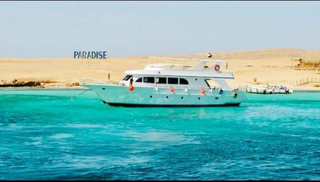 🌴✨ Paradise Island Trip from El Gouna 🏝️🌊