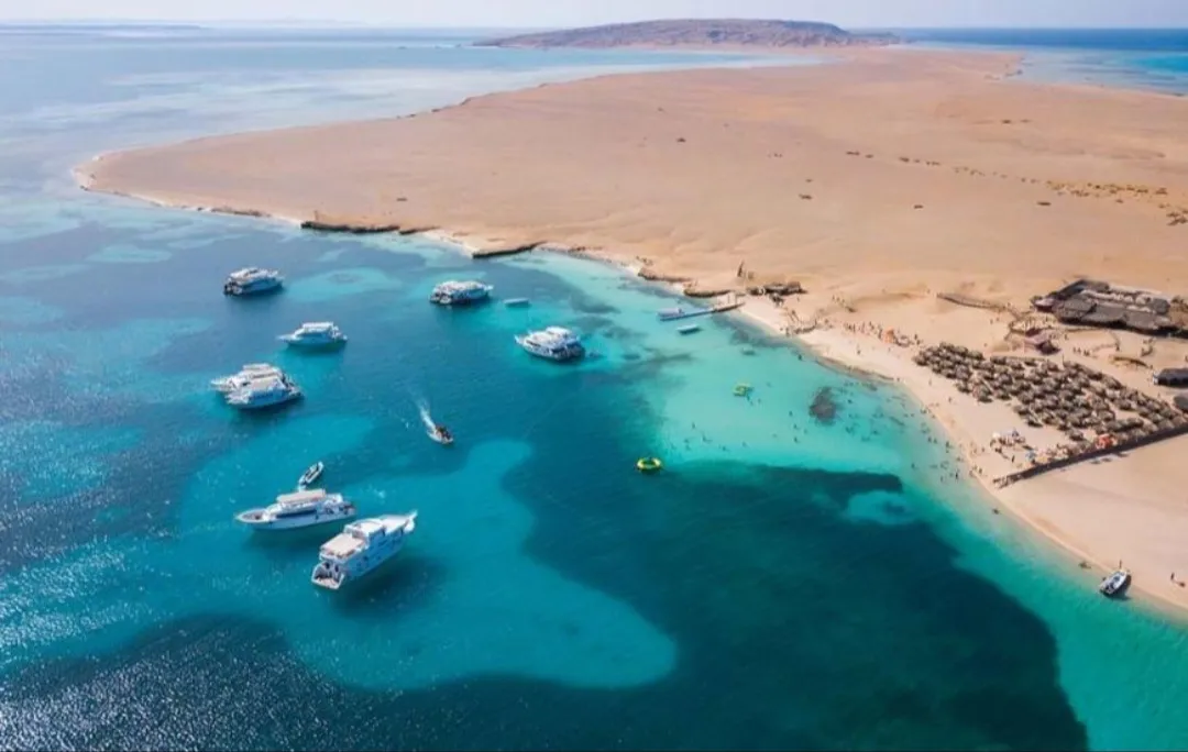 🌴✨ Paradise Island Trip from El Gouna 🏝️🌊 Paradise-trip-island/Screenshot_٢٠٢٦٠٧٠٢_١٩٥٠٤٥_ChatGPT.jpg