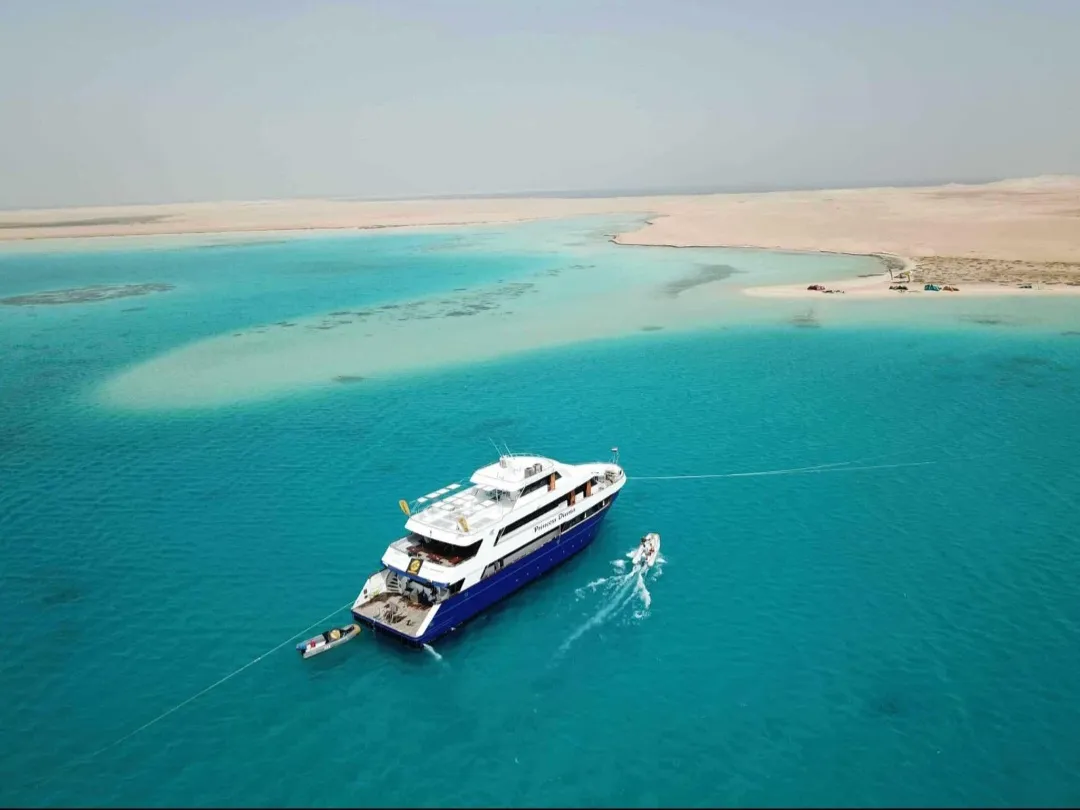 🌴✨ Paradise Island Trip from El Gouna 🏝️🌊 Paradise-trip-island/Screenshot_٢٠٢٦٠٧٠٢_١٩٥٠٥٥_ChatGPT.jpg